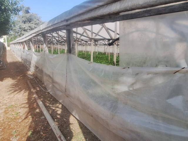 Terreno in vendita a Santa Maria La Carità, Campania