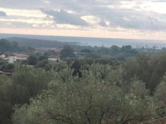 Terreno in vendita a Santa Marina, Campania
