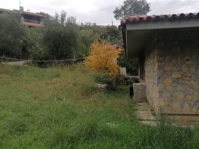 Terreno in vendita a Santa Marina, Campania