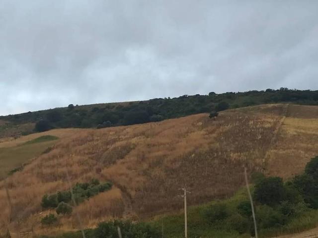 Terreno in vendita a Santa Marinella, Roma Capitale