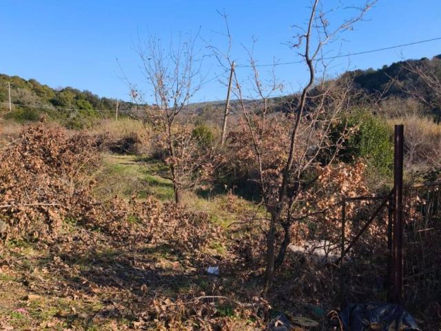 Terreno in vendita a Roma Capitale, Lazio