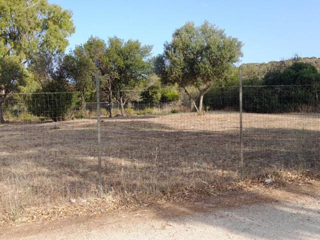 Terreno in vendita a Roma Capitale, Lazio