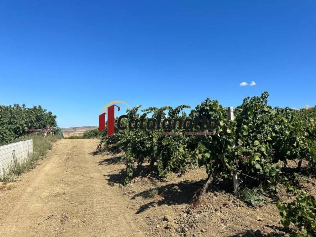 Terreno in vendita a Santa Ninfa, Sicilia