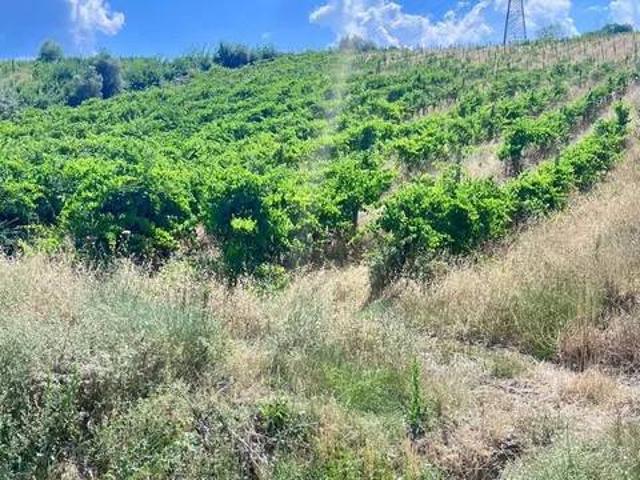 Terreno in vendita a Santa Paolina, Campania