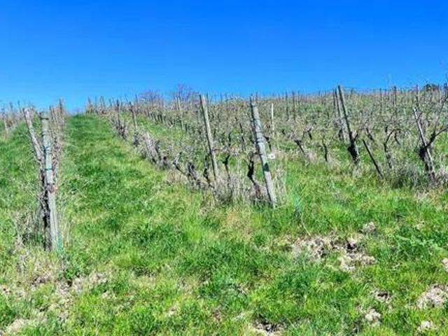 Terreno in vendita a Santa Paolina, Campania