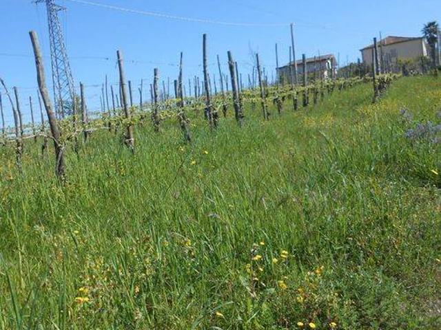 Terreno in vendita a Santa Paolina, Campania