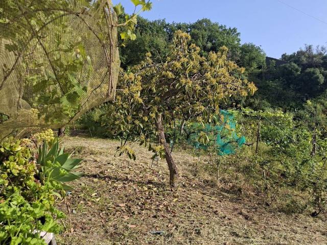 Terreno in vendita a Santa Teresa Di Riva, Sicilia