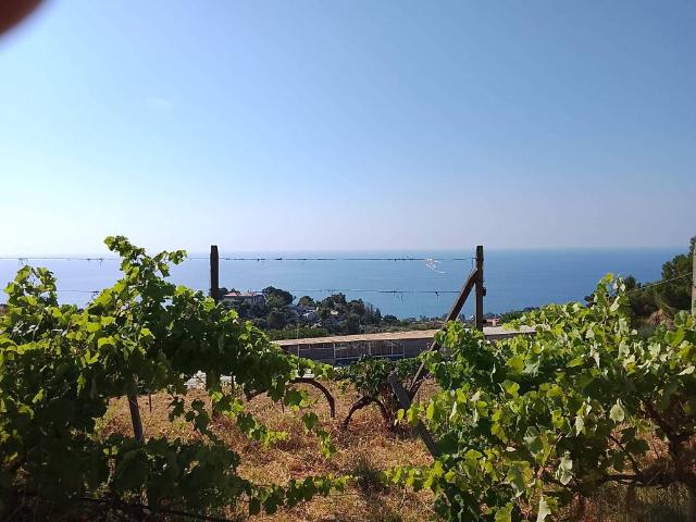 Terreno in vendita a Santa Teresa Di Riva, Sicilia