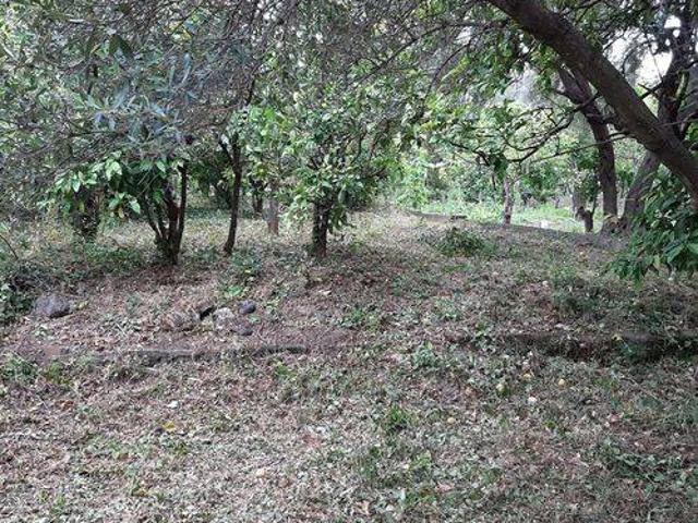 Terreno in vendita a Bucalo, Santa Teresa Di Riva
