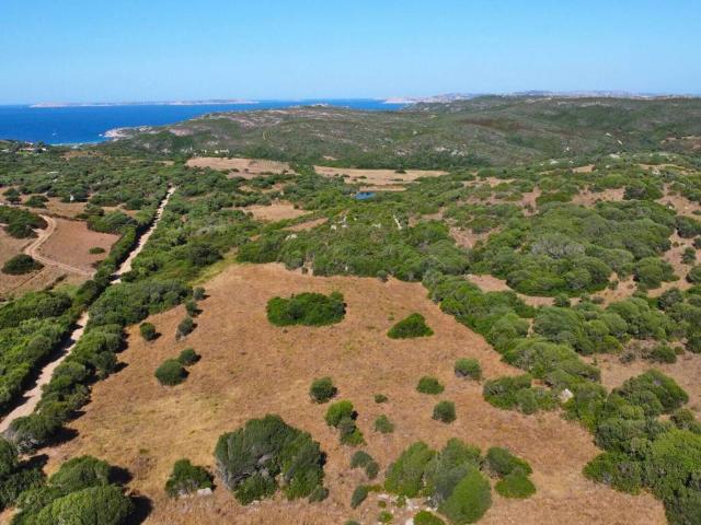 Terreno in vendita a Santa Teresa Gallura, Sardigna/Sardegna