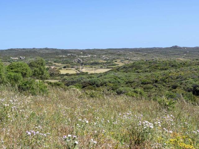 Terreno in vendita a Santa Teresa Gallura, Sardigna/Sardegna