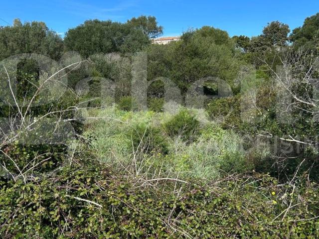 Terreno in vendita a Santa Teresa Gallura, Sardigna/Sardegna