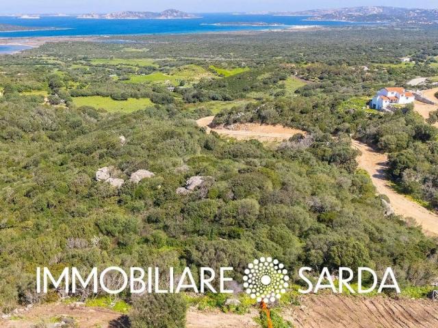 Terreno in vendita a Santa Teresa Gallura, Sardigna/Sardegna