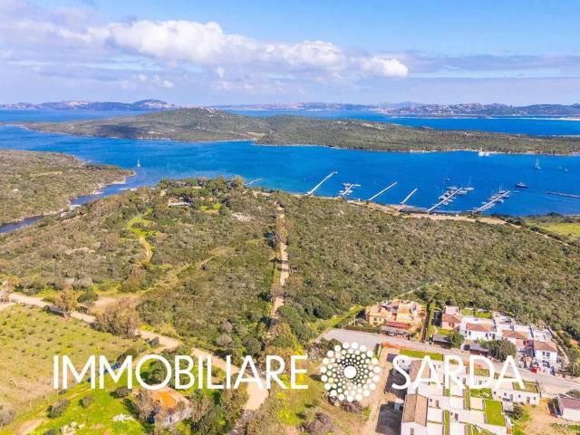 Terreno in vendita a Santa Teresa Gallura, Sardigna/Sardegna