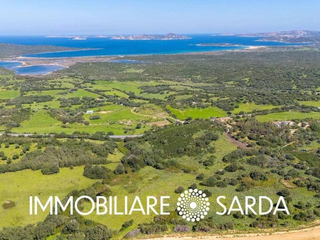 Terreno in vendita a Santa Teresa Gallura, Sardigna/Sardegna