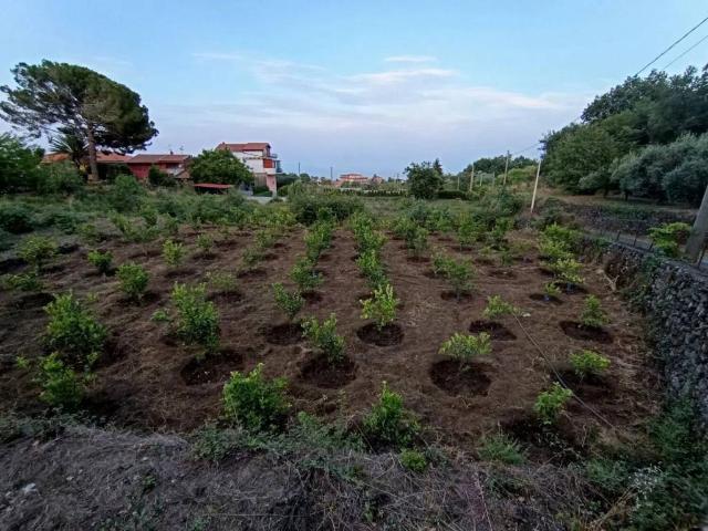 Terreno in vendita a Monacella, Santa Venerina