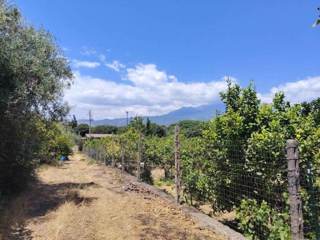 Terreno in vendita a Santa Venerina, Sicilia