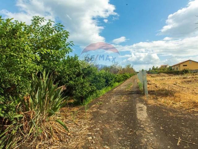 Terreno in vendita a Santa Venerina, Sicilia