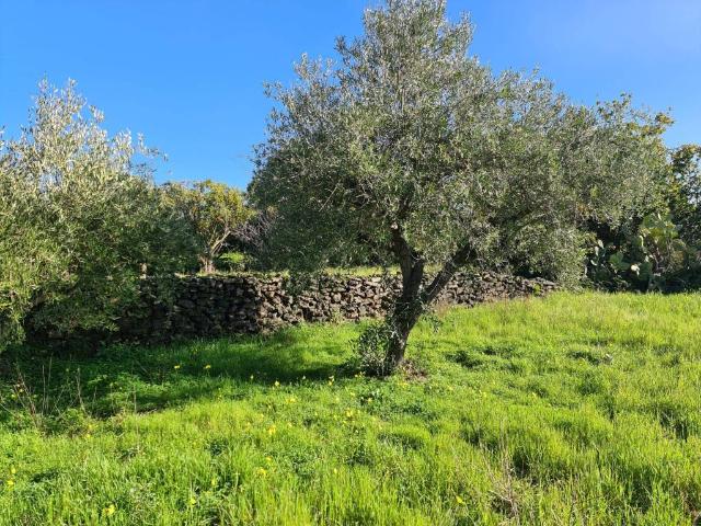 Terreno in vendita a Santa Venerina, Sicilia