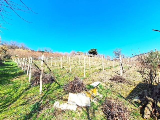 Terreno in vendita a Cinzano, Piemonte