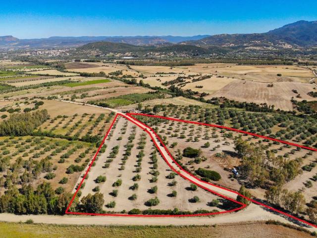 Terreno in vendita a Santadi, Sardigna/Sardegna