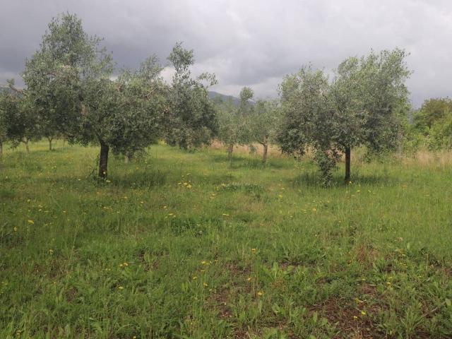 Terreno in vendita a Sant'agata De' Goti, Campania