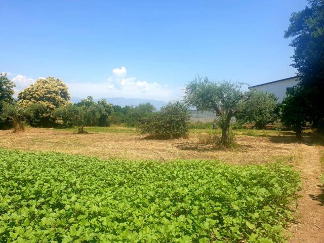 Terreno in vendita a Sant'agata De' Goti, Campania