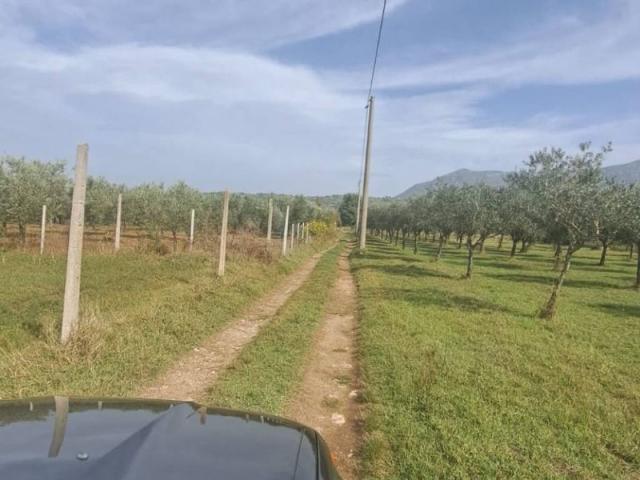Terreno in vendita a Sant'agata De' Goti, Campania