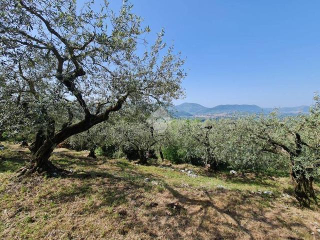 Terreno in vendita a Paolini, Sant'Agata de' Goti