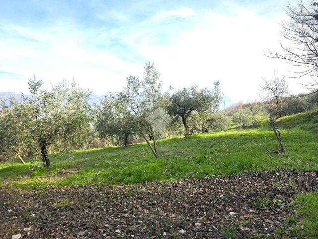 Terreno in vendita a Sant'agata De' Goti, Campania