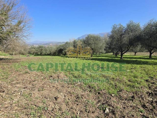 Terreno in vendita a Sant'agata De' Goti, Campania