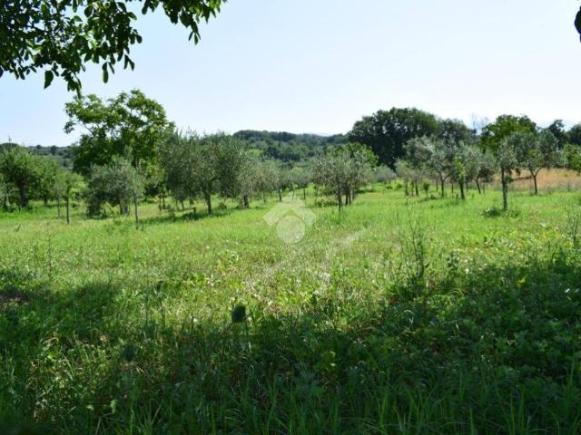 Terreno in vendita a Sant'agata De' Goti, Campania