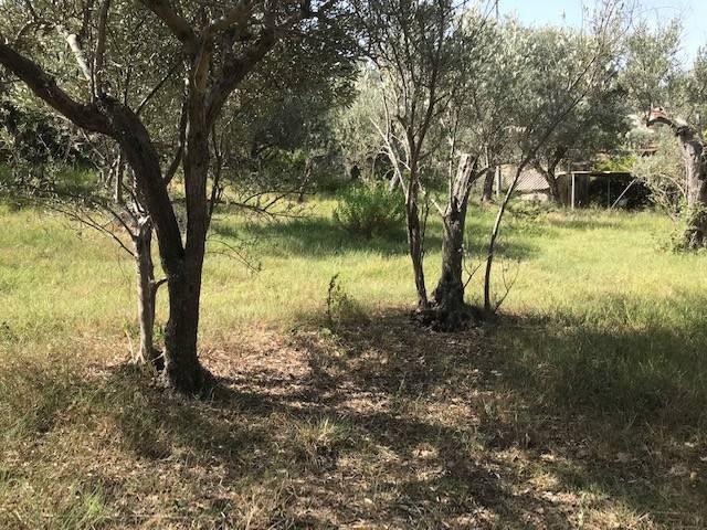 Terreno in vendita a Minà, Sant'agata Di Militello