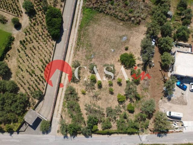 Terreno in vendita a Minà, Sant'agata Di Militello
