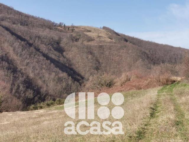 Terreno in vendita a Unione di comuni Valmarecchia, Sant'agata Feltria