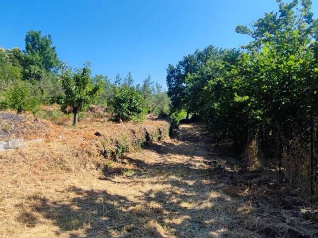 Terreno in vendita a Sant'alfio, Sicilia
