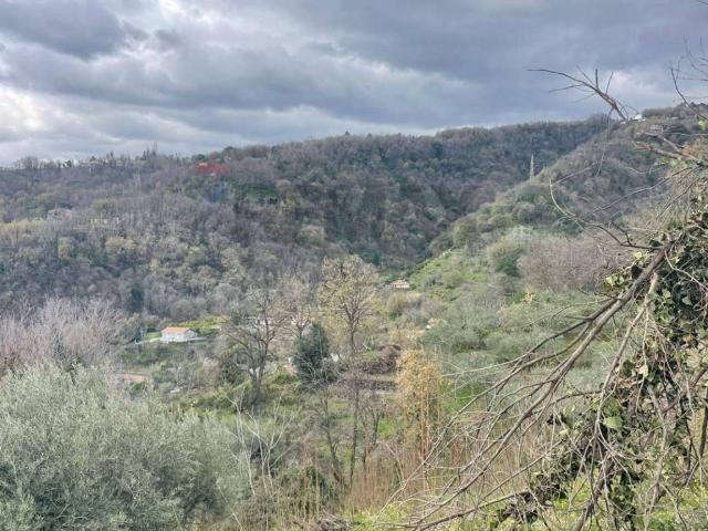 Terreno in vendita a Sant'alfio, Sicilia