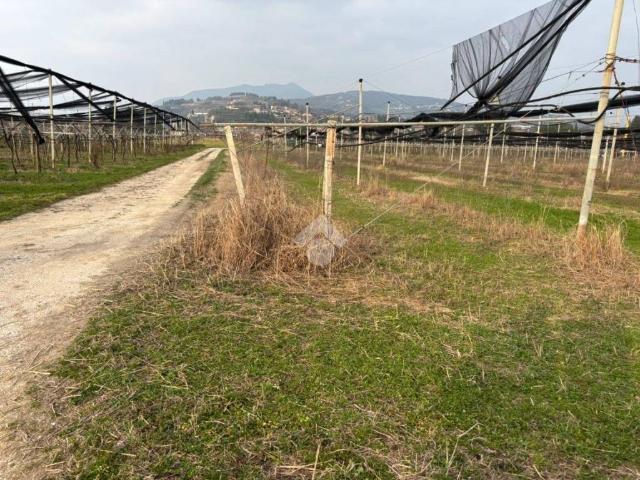Terreno in vendita a Domegliara, Sant'ambrogio Di