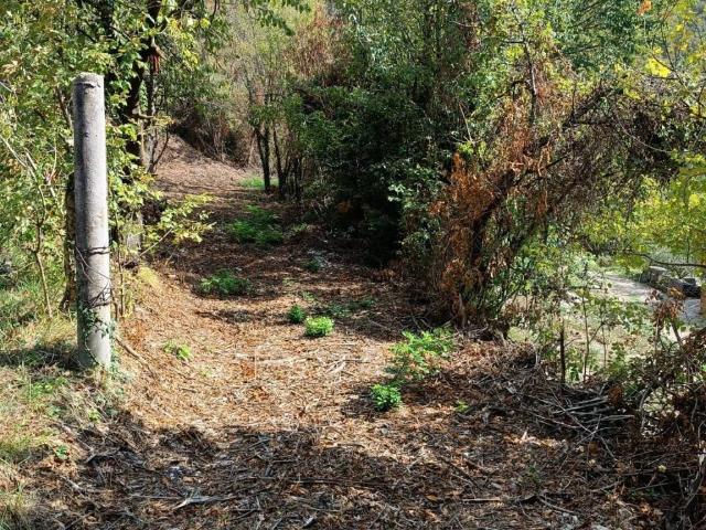 Terreno in vendita a Monte, Sant'Ambrogio di Valpolicella