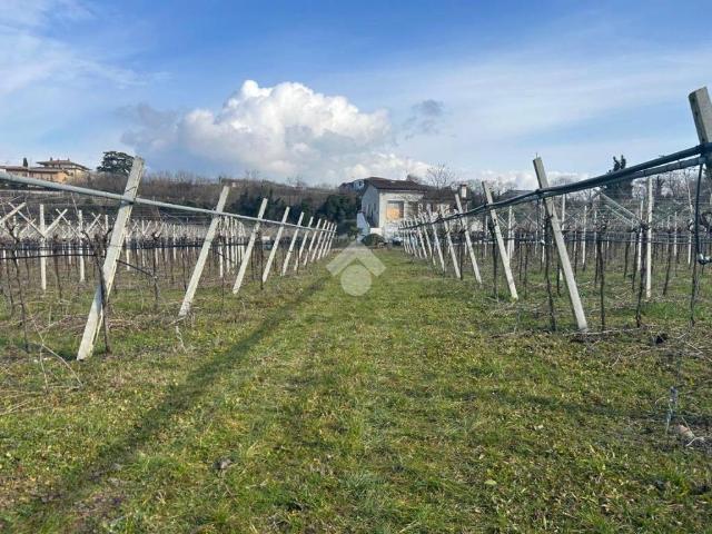 Terreno in vendita a Domegliara, Sant'ambrogio Di