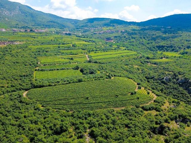 Terreno in vendita a Monte, Sant'ambrogio Di