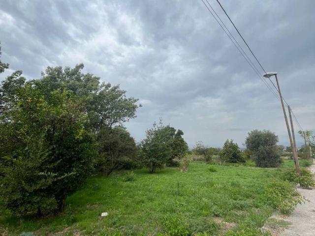 Terreno in vendita a Sant'anastasia, Campania