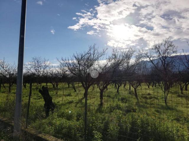 Terreno in vendita a Sant'anastasia, Campania