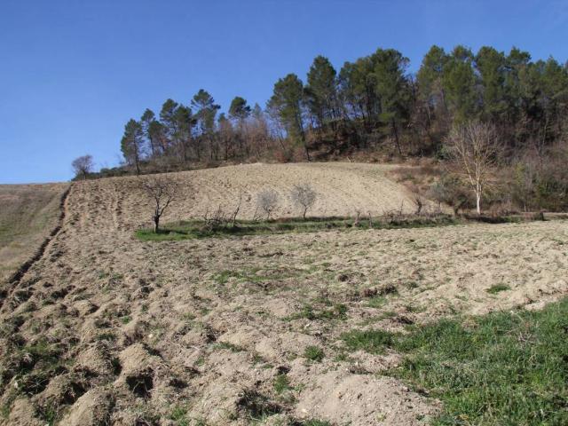 Terreno in vendita a Sant'anatolia Di Narco, Umbria