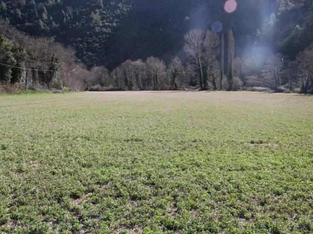 Terreno in vendita a Sant'anatolia Di Narco, Umbria