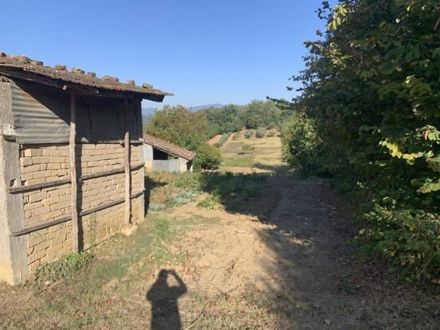 Terreno in vendita a Sant'angelo A Cupolo, Campania