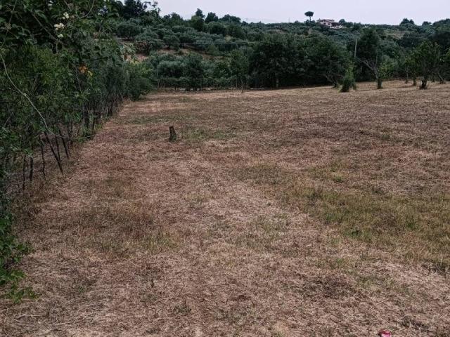 Terreno in vendita a Roma Capitale, Lazio
