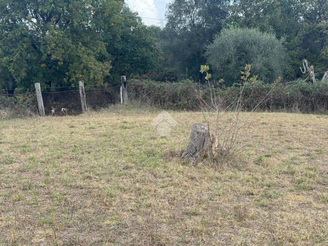 Terreno in vendita a Roma Capitale, Lazio