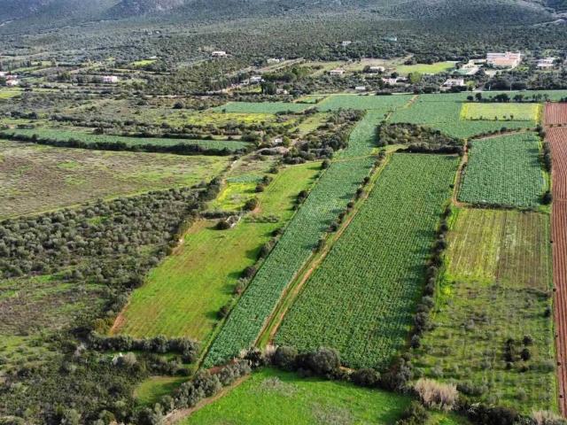 Terreno in vendita a Sant'anna Arresi, Sardigna/Sardegna