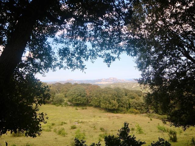 Terreno in vendita a Alzachèna/Arzachena, Sant'antonio Di Gallura